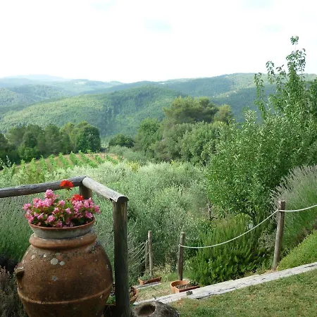Villa I Ceneruzzi *