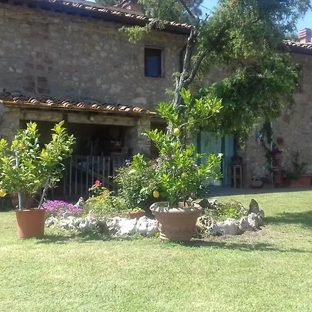 I Ceneruzzi Gambassi Terme