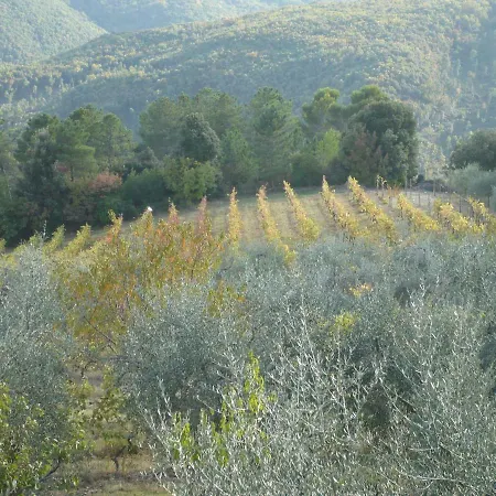 I Ceneruzzi * Gambassi Terme